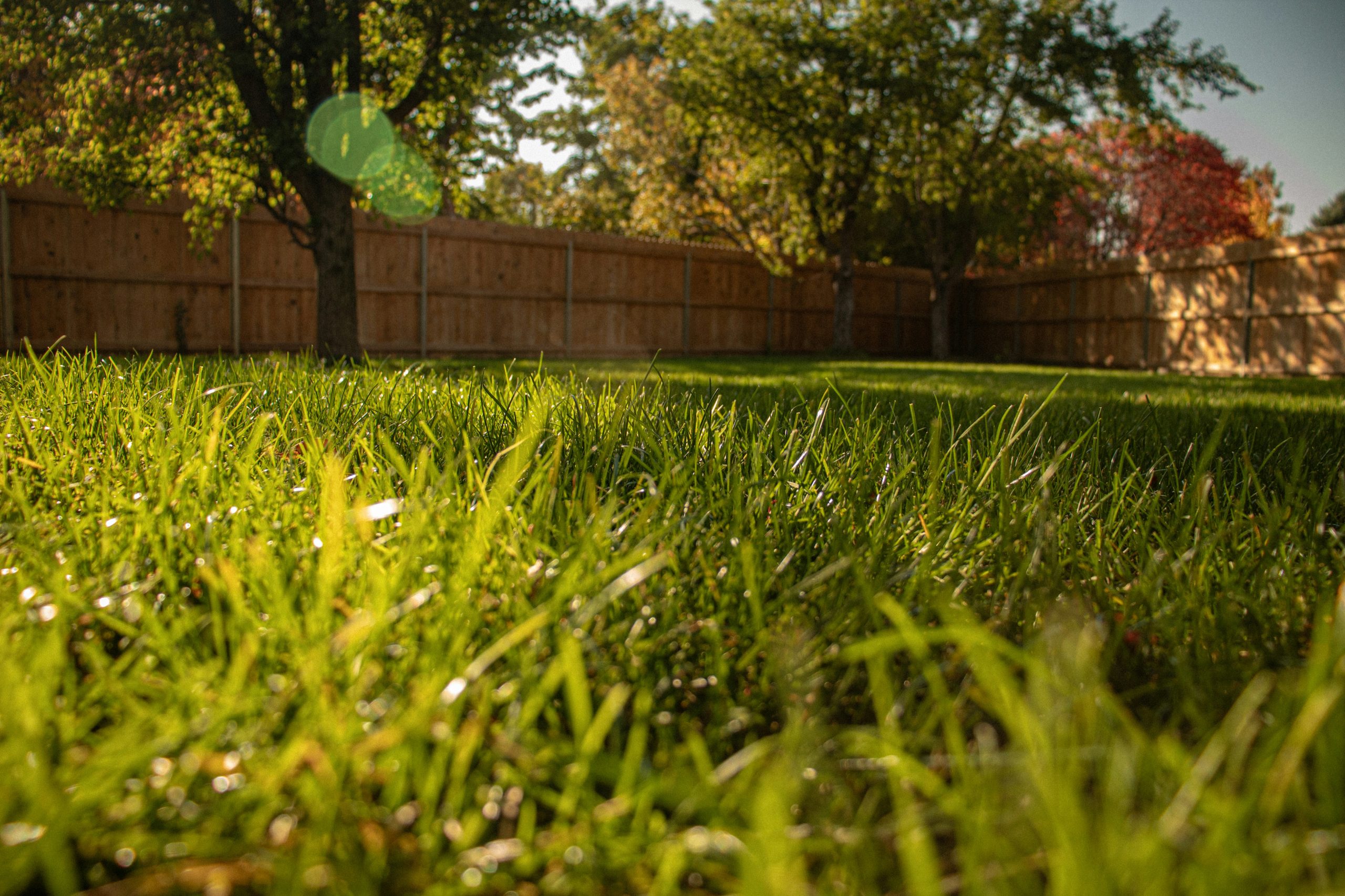 When a Yard Tells a Story: Helping Older Adults Through Every Season